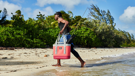 THE BIMINI COLLECTION